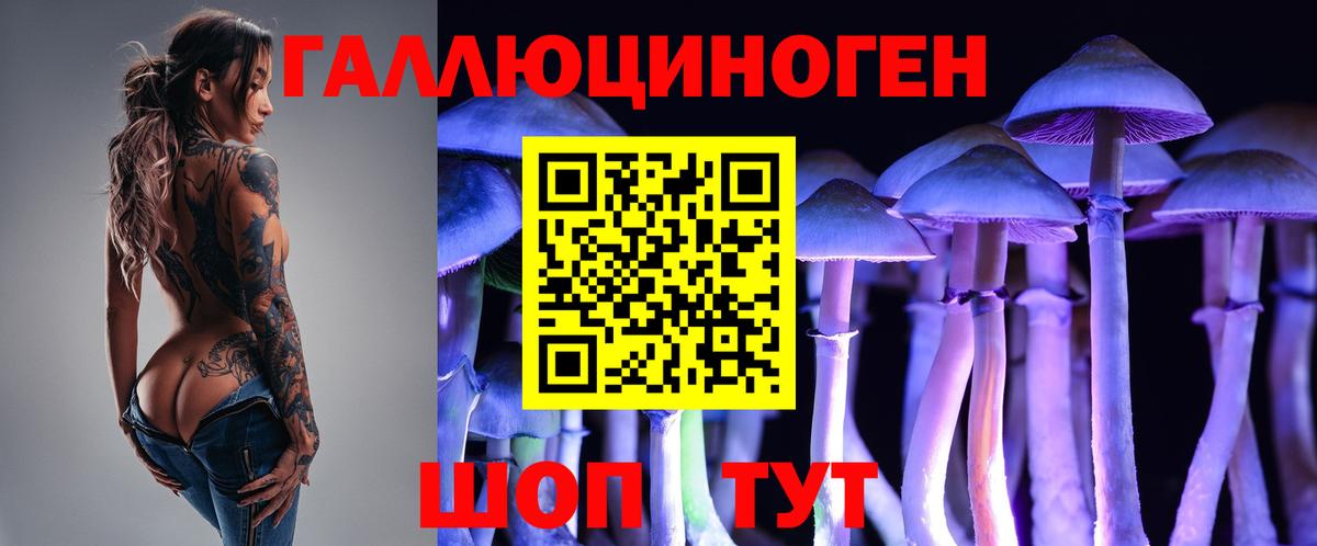 Вятские Поляны  хочу наркоту  Вход с VPN  Псилоцибиновые грибы GOLDEN TEACHER 